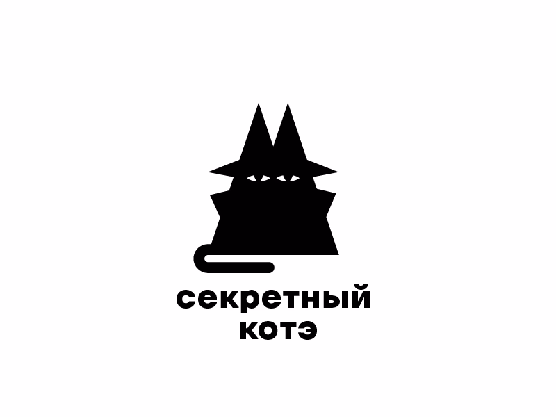 секретный котэ