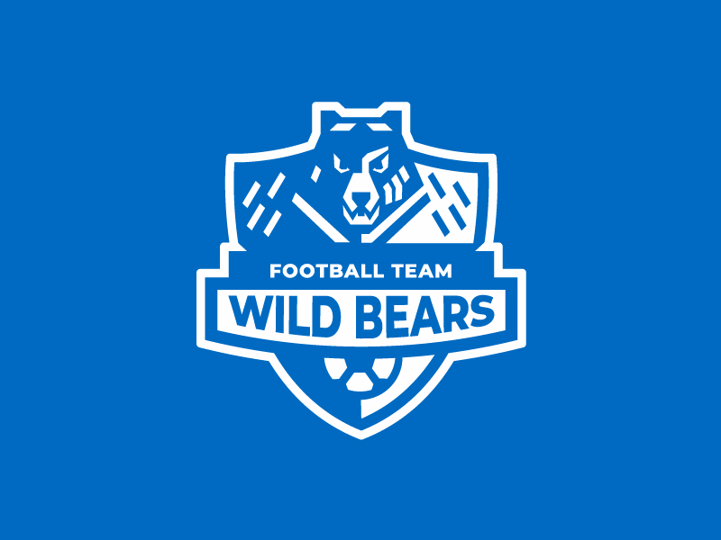 wild bears