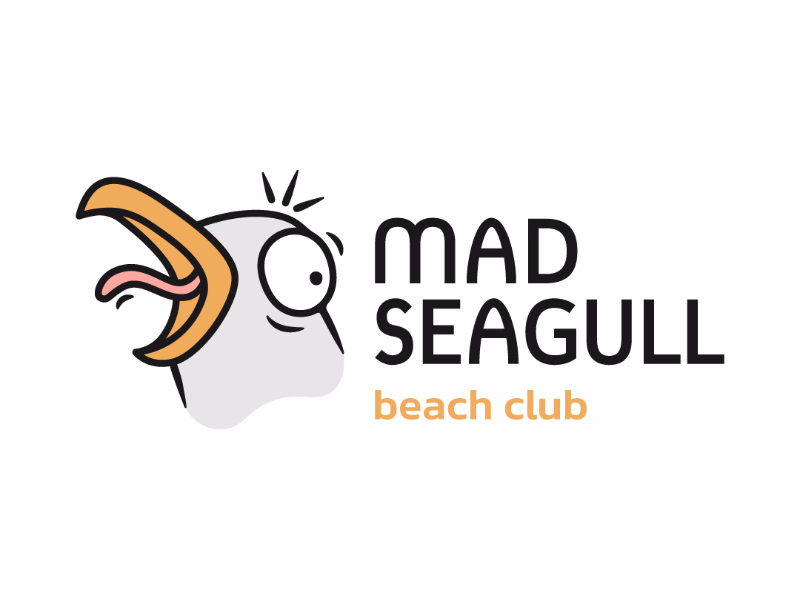 Mad seagul
