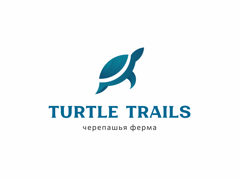 Turtle Trails