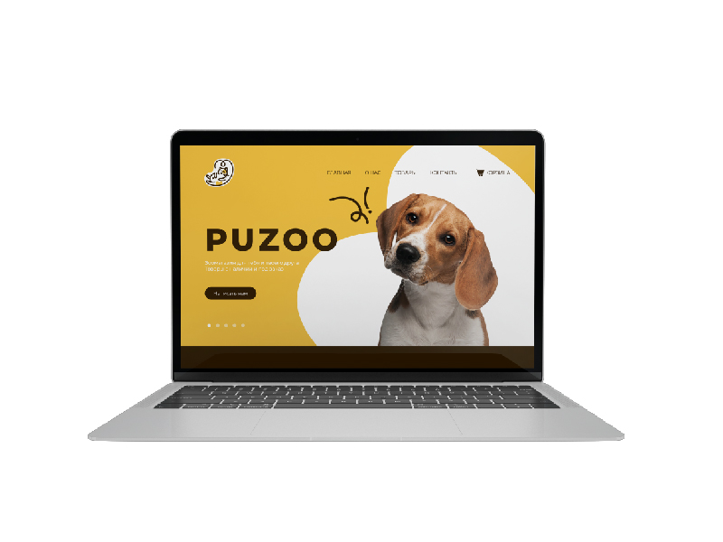 Puzoo presentation