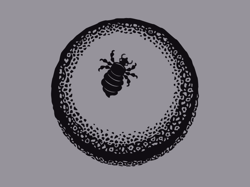 ядрена вошь