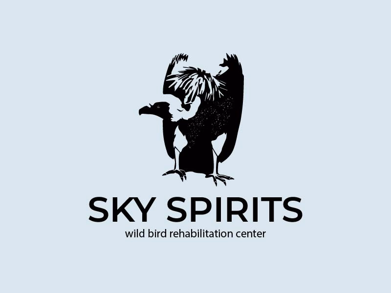 SKY SPIRITS