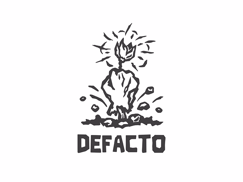 DEFACTO shot
