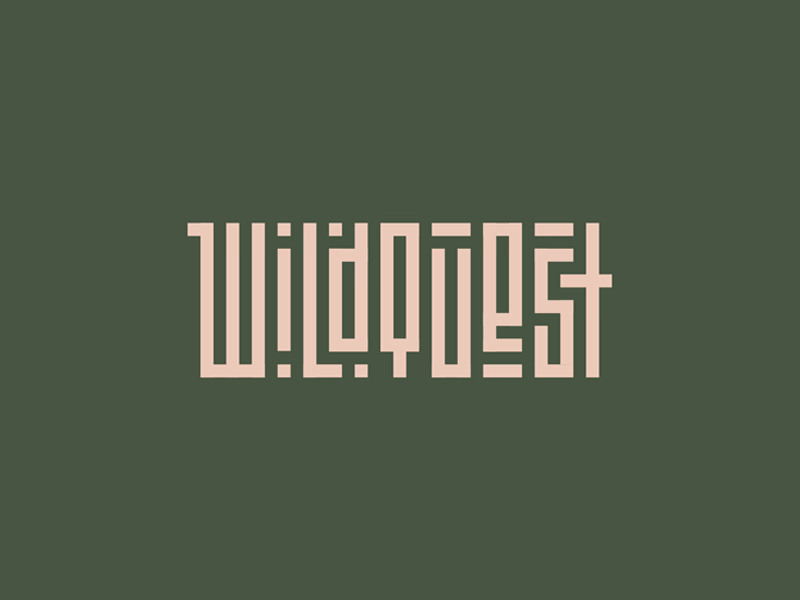 WildQuest Леттеринг лого для экстремальных туров