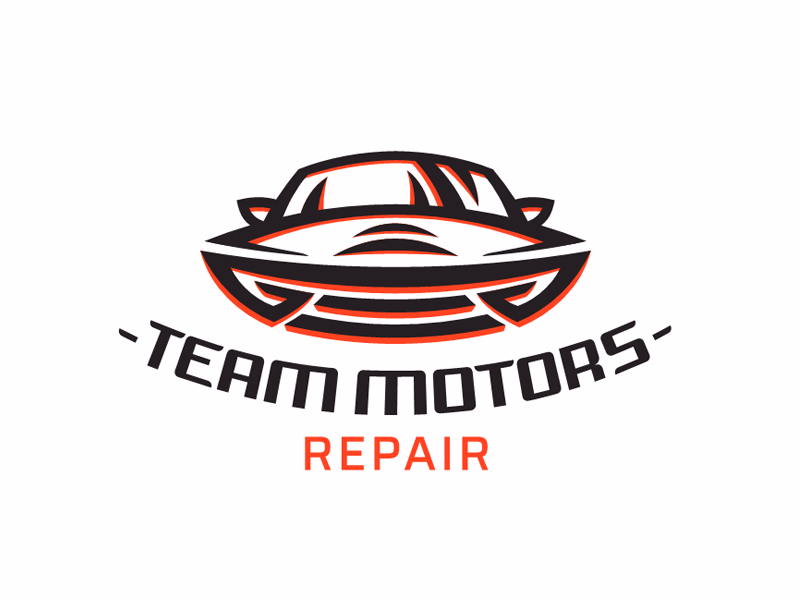 Team motors