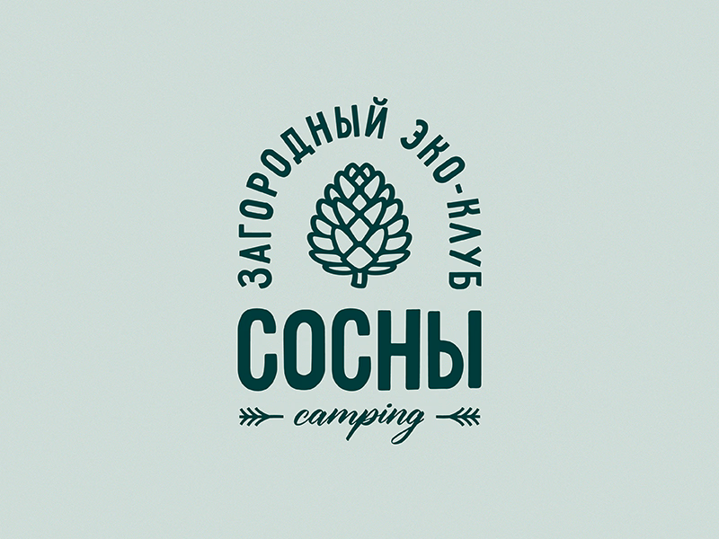 Сосны camping