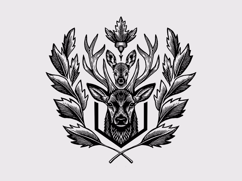 Олень с детенышем shot