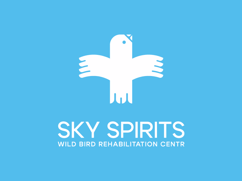 SKY SPIRITS