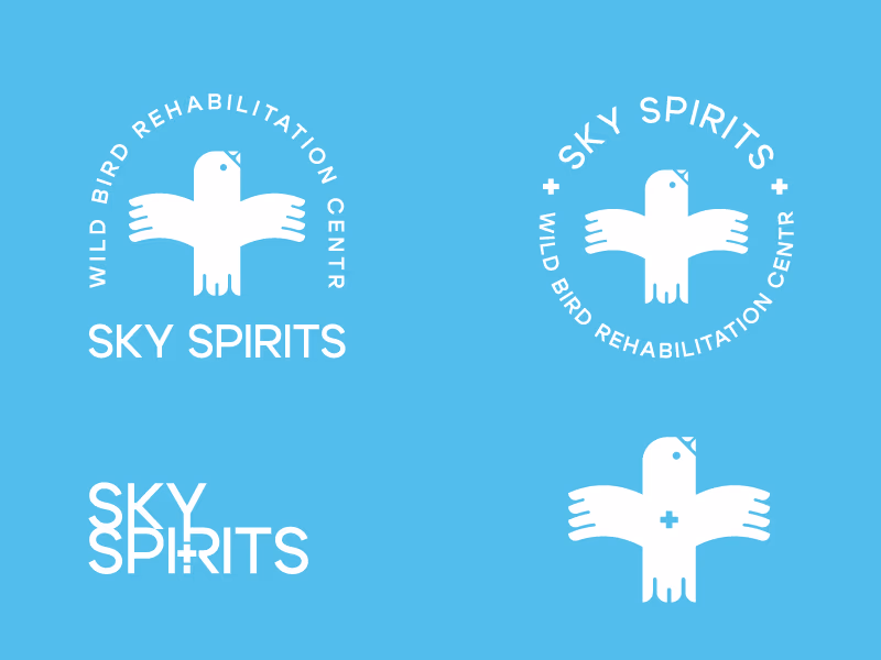 SKY SPIRITS presentation