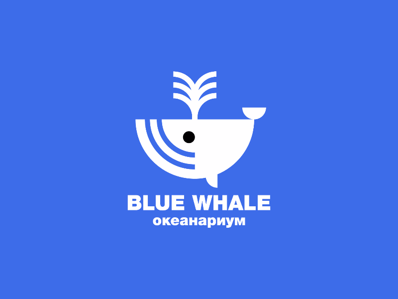 Blue Whale