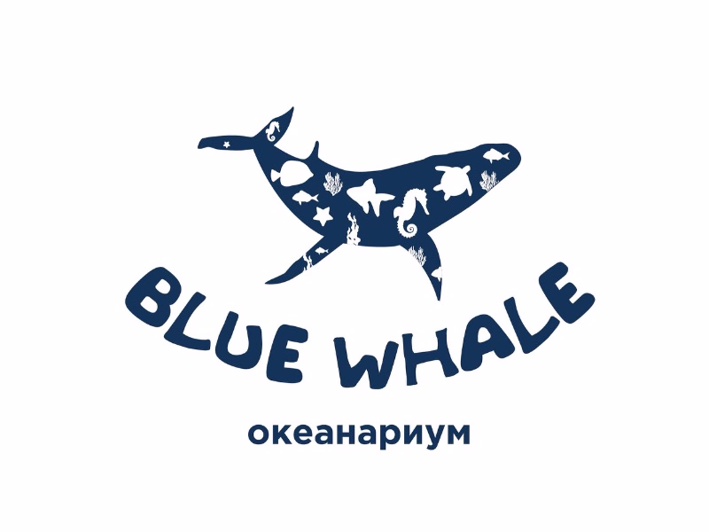 Океанариум BLUE WHALE