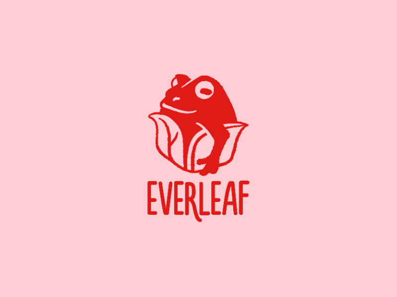 ECOFRIENDLY PACKAGING