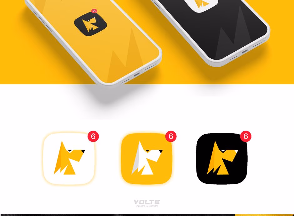 VOLTE POWER IN MOTION presentation