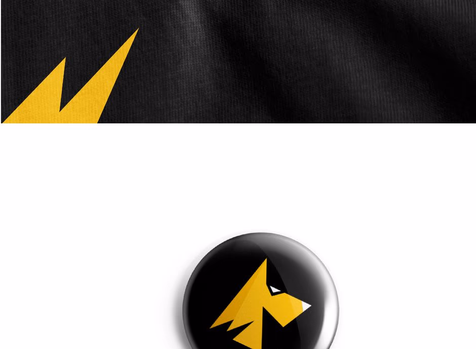 VOLTE POWER IN MOTION presentation