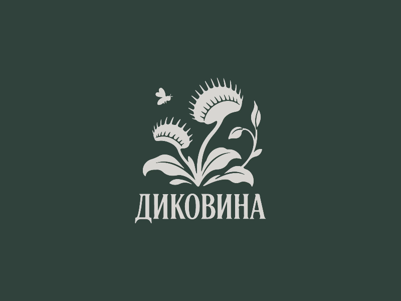 диковина