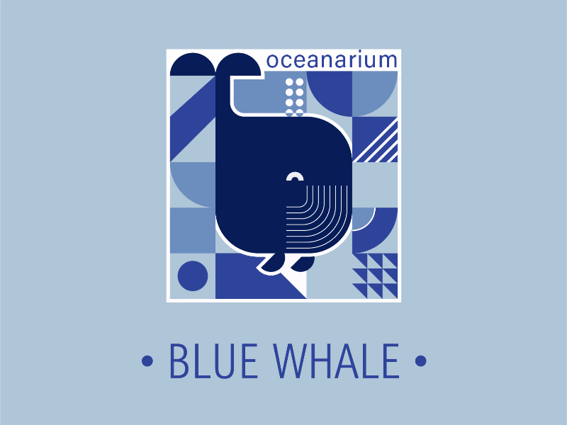 Blue Whale
