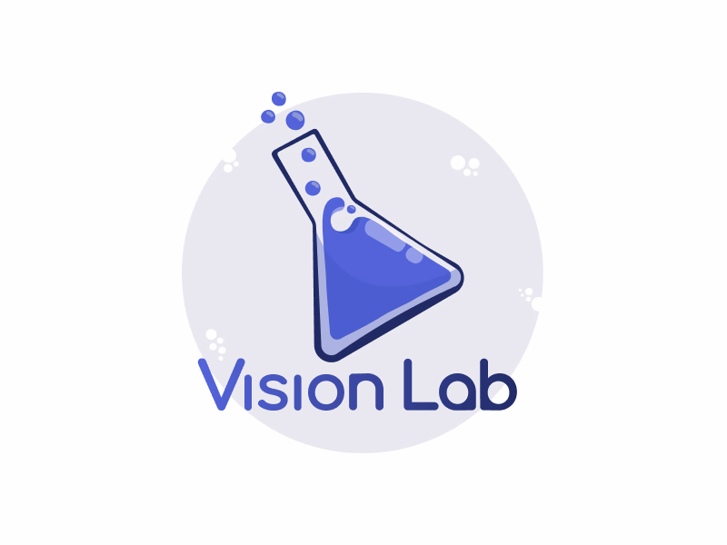 Vision Lab