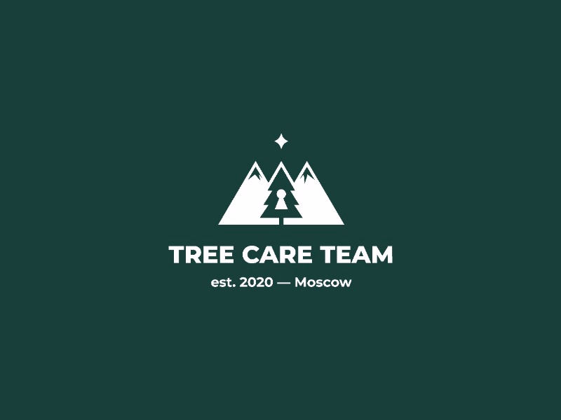 TREE CARE TEAM