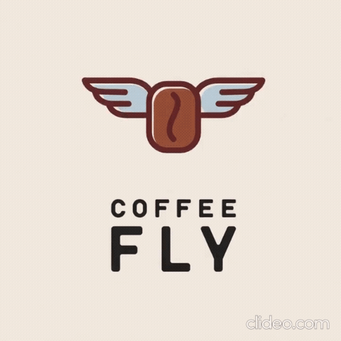 Coffee Fly presentation