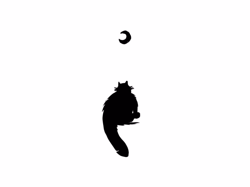 Кот и луна