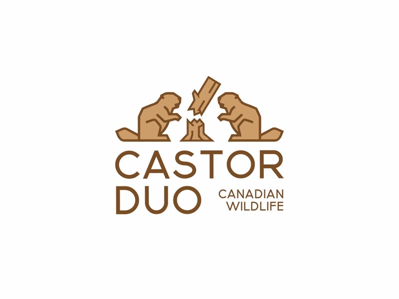 Castor Duo
