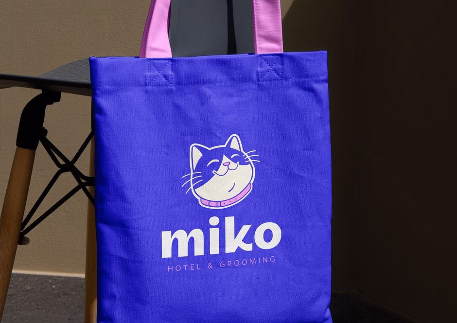 MIKO presentation