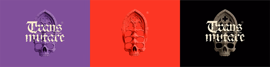 Transmutare presentation