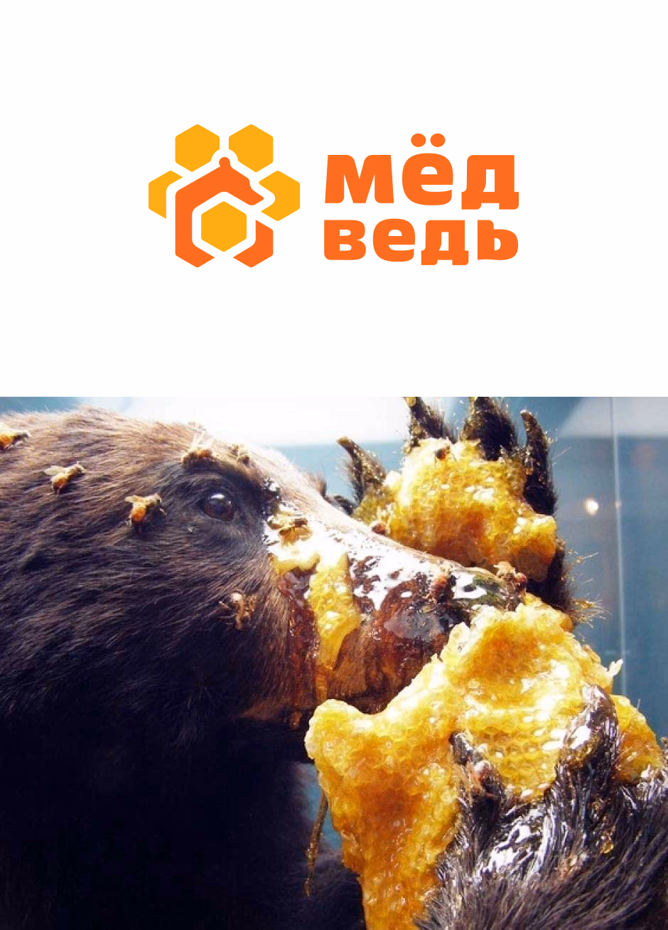 МЕДведь presentation