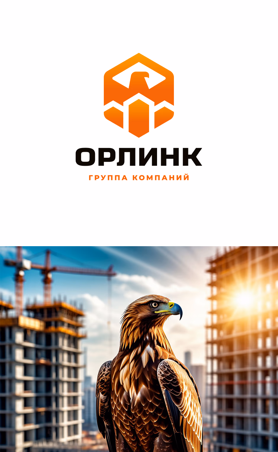 ОРЛИНК presentation