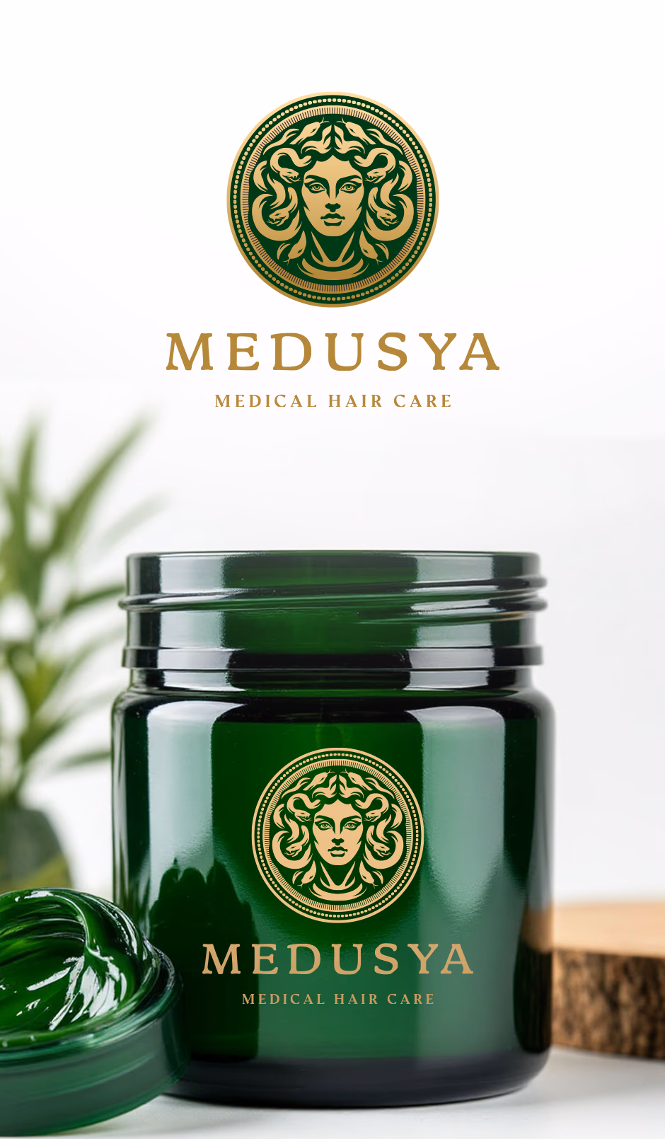 M E D U S Y A presentation