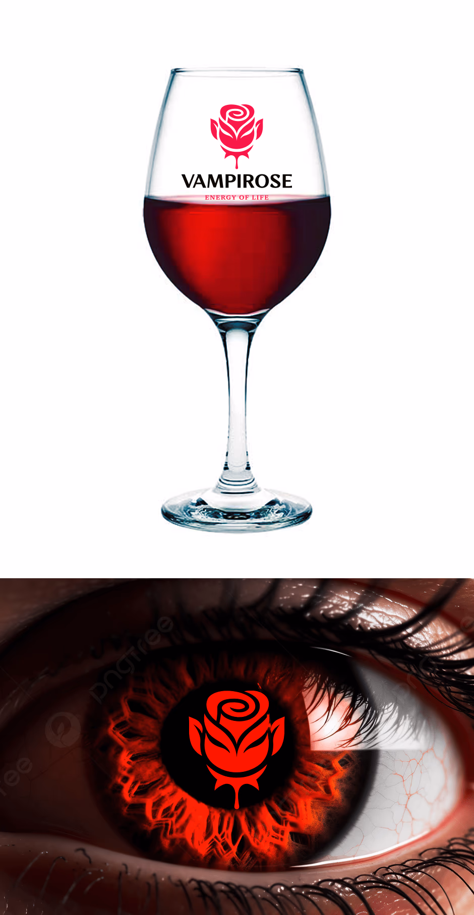 VAMPIROSE presentation