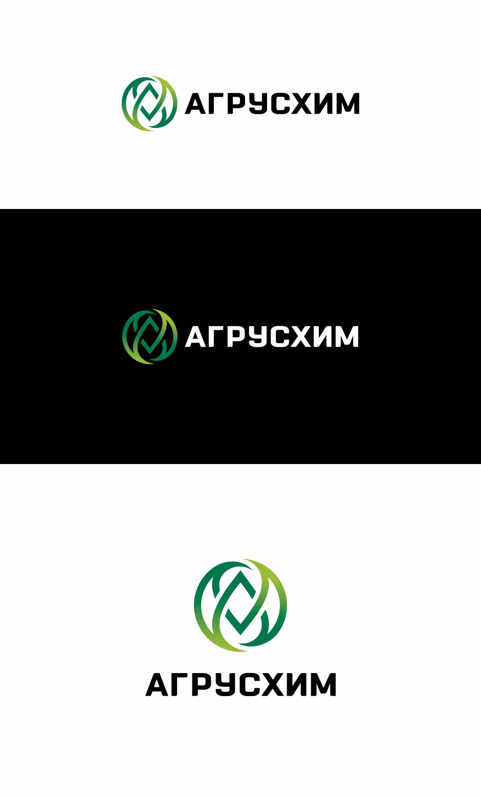 АГУСХИМ presentation