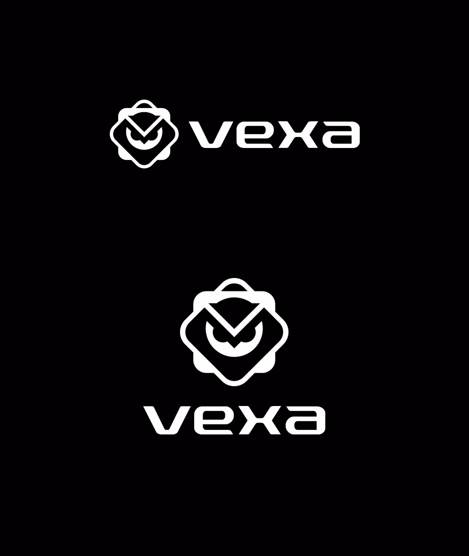 VEXA presentation
