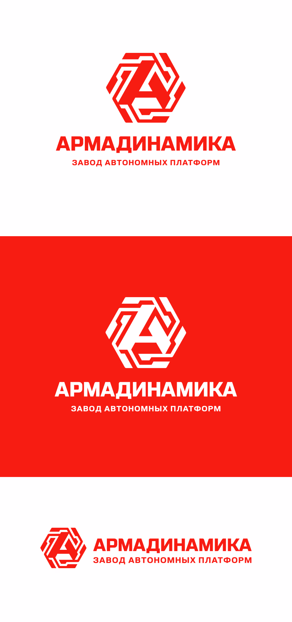 АРМАДИНАМИКА presentation