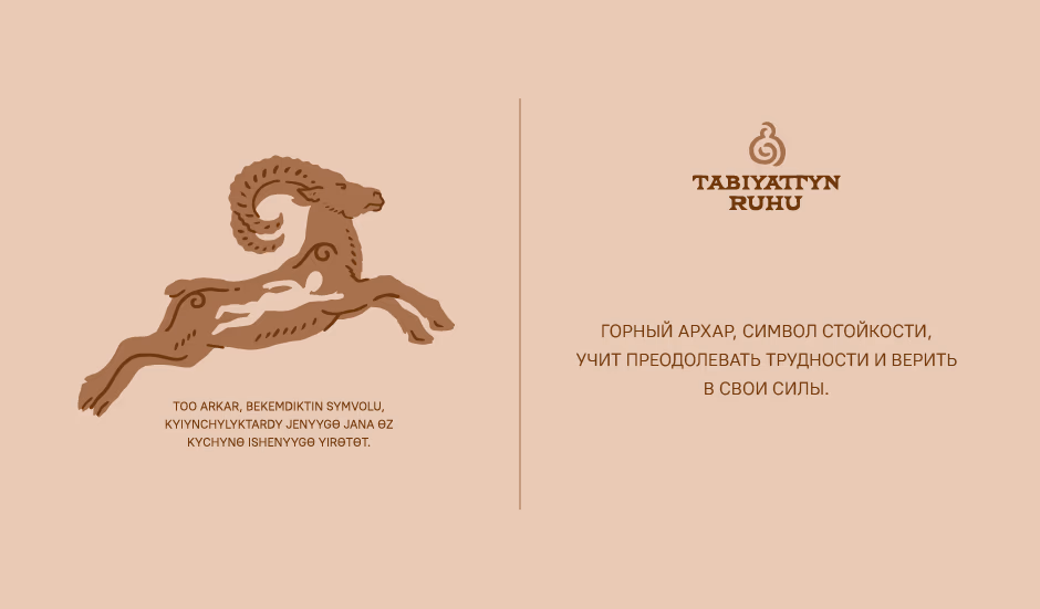 TABIYATTYN RUHU presentation