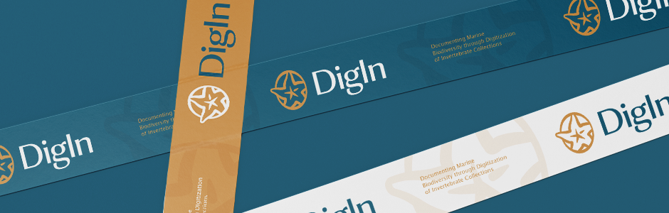 Digln presentation