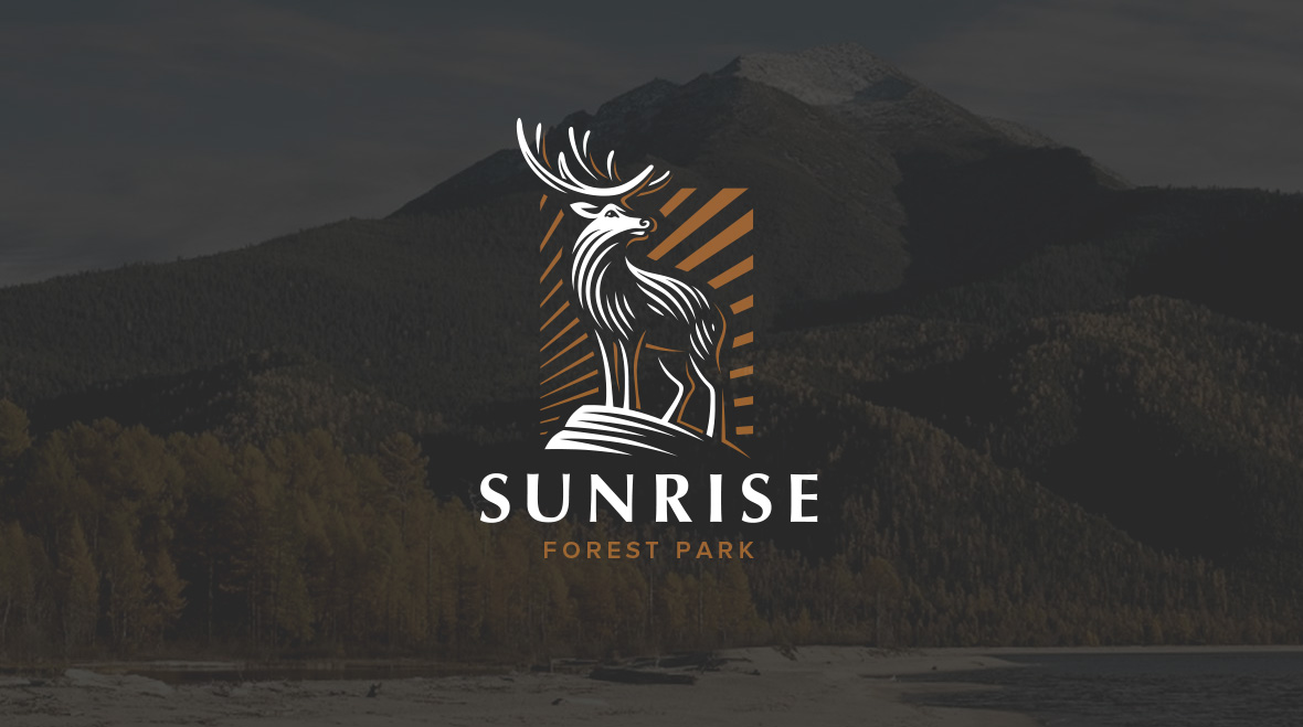 Sunrise presentation