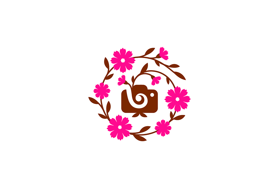 Vasyloks presentation