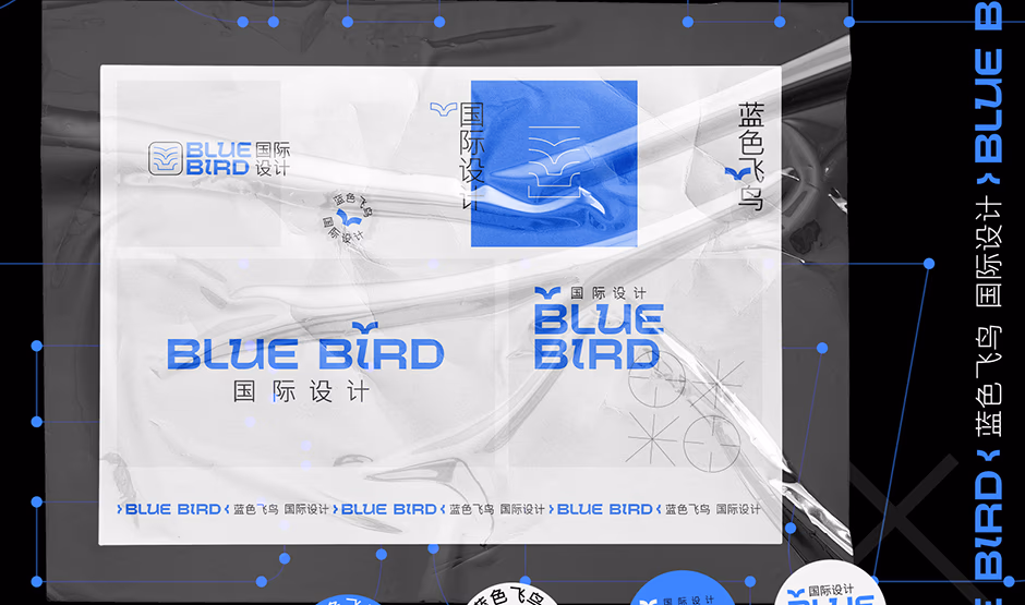 Blue bird presentation