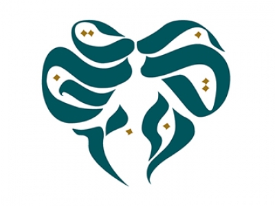 United belly dance studios