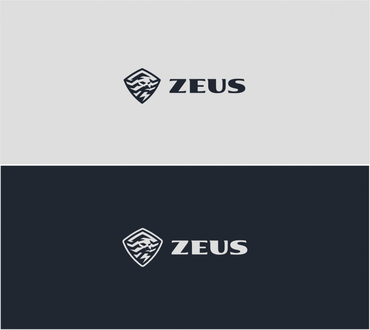 Zeus presentation