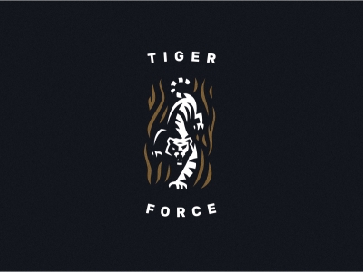 Tiger force