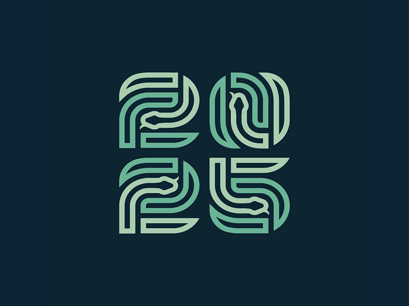 Год Змеи 2025