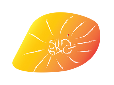 sun bag