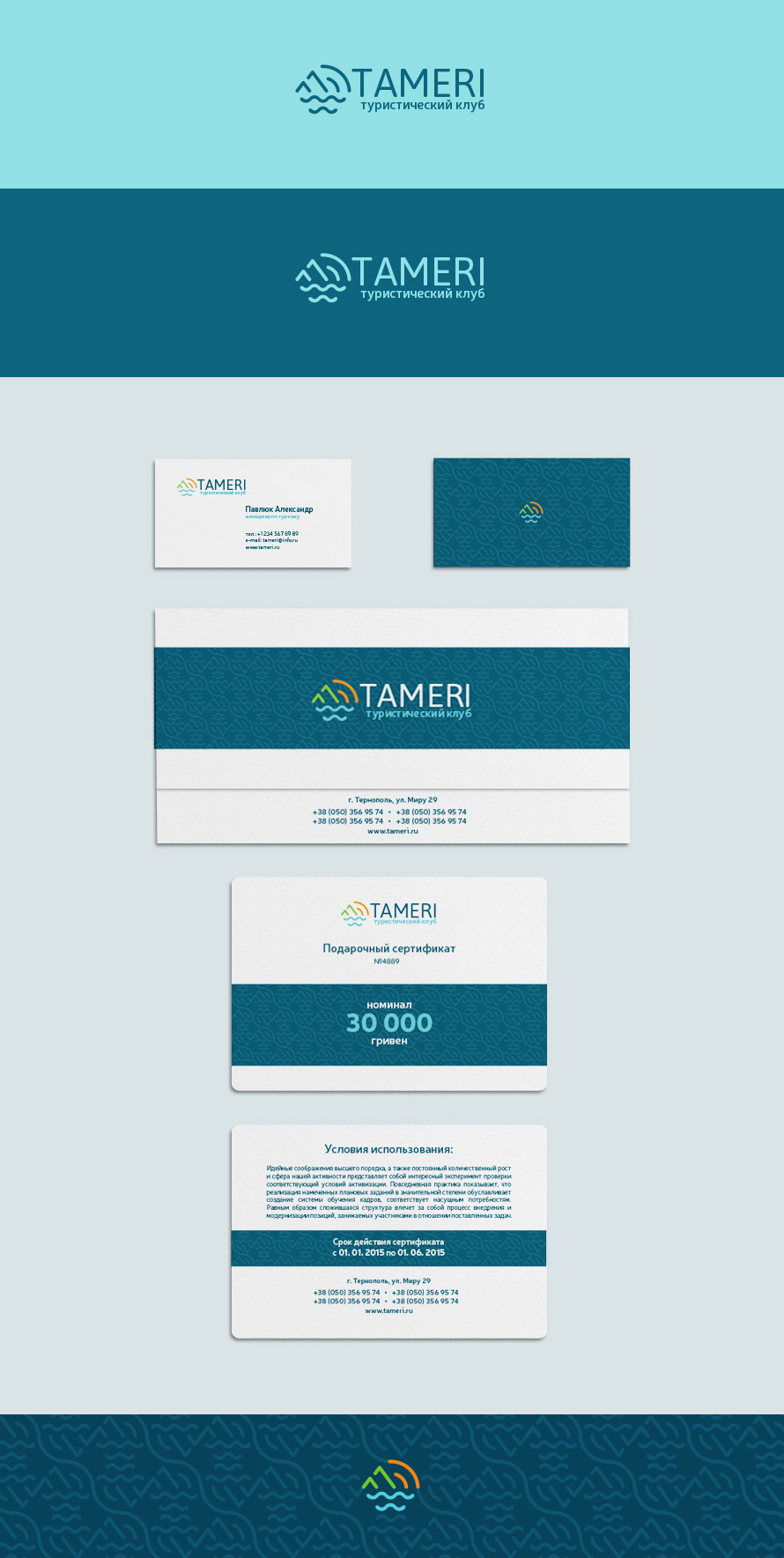 Tameri presentation