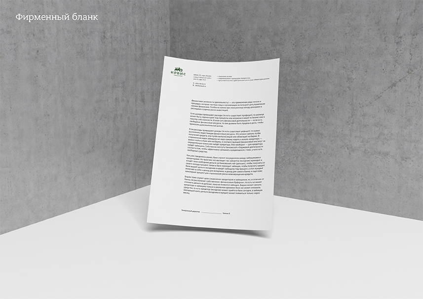 Ирбис консалтинг presentation