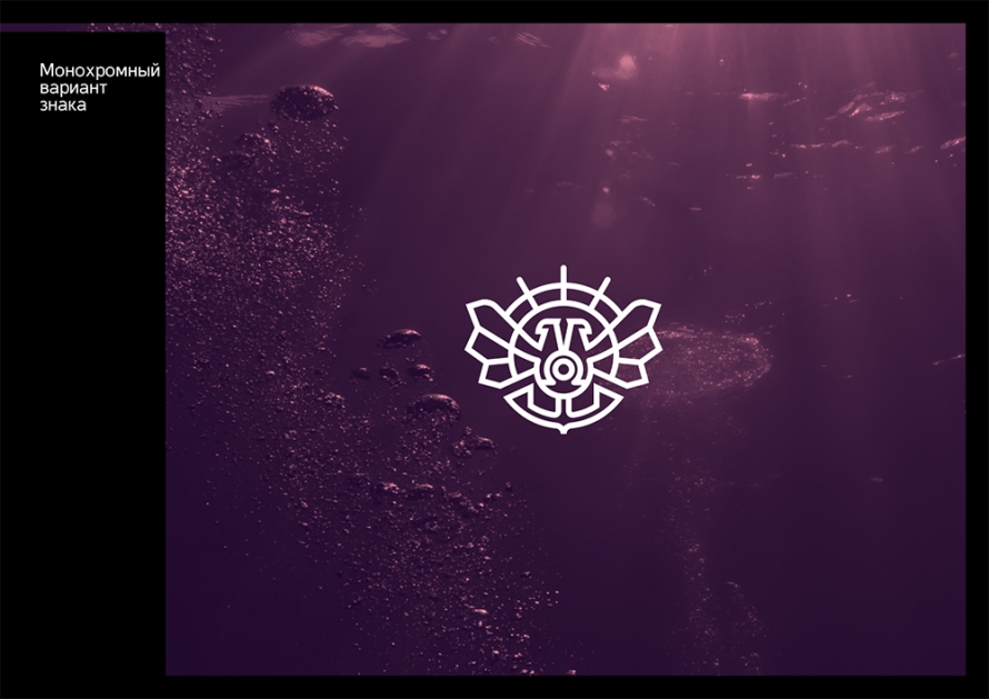 Молодежный дайвинг отряд presentation