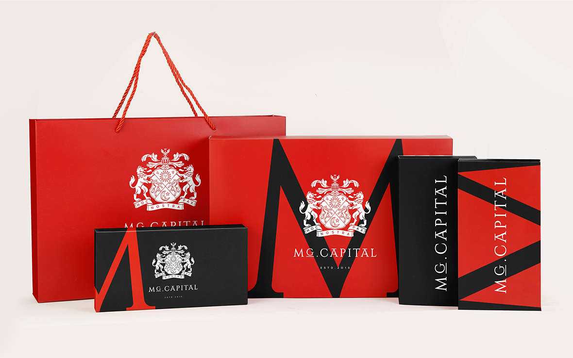 MG CAPITAL presentation