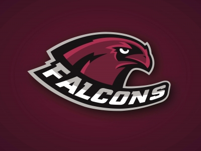 Falcons